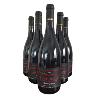 Saint Amour AOP 2025 - Domaine des Treilles