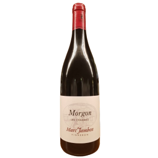 Morgon "Les Charmes" AOP 2025  - Domaine Jambon Marc